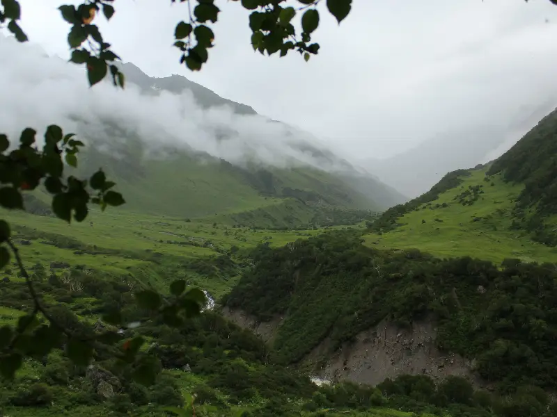 Valley of Flowers Trek with stunning mountain views