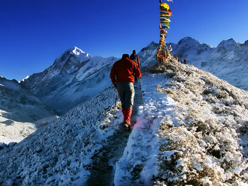 Dzongri Trek (Sikkim)